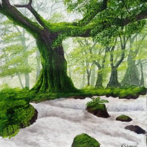 Divine River / Roots and River